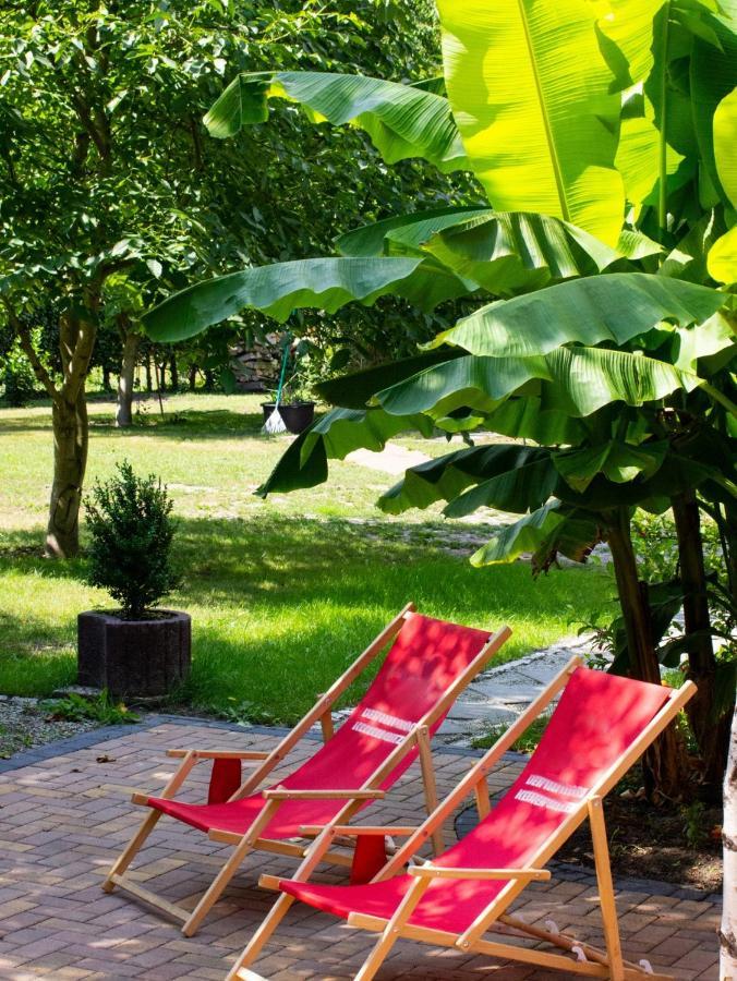 Salus Spreewald - Erholung & Natur - Kolonie  Εξωτερικό φωτογραφία