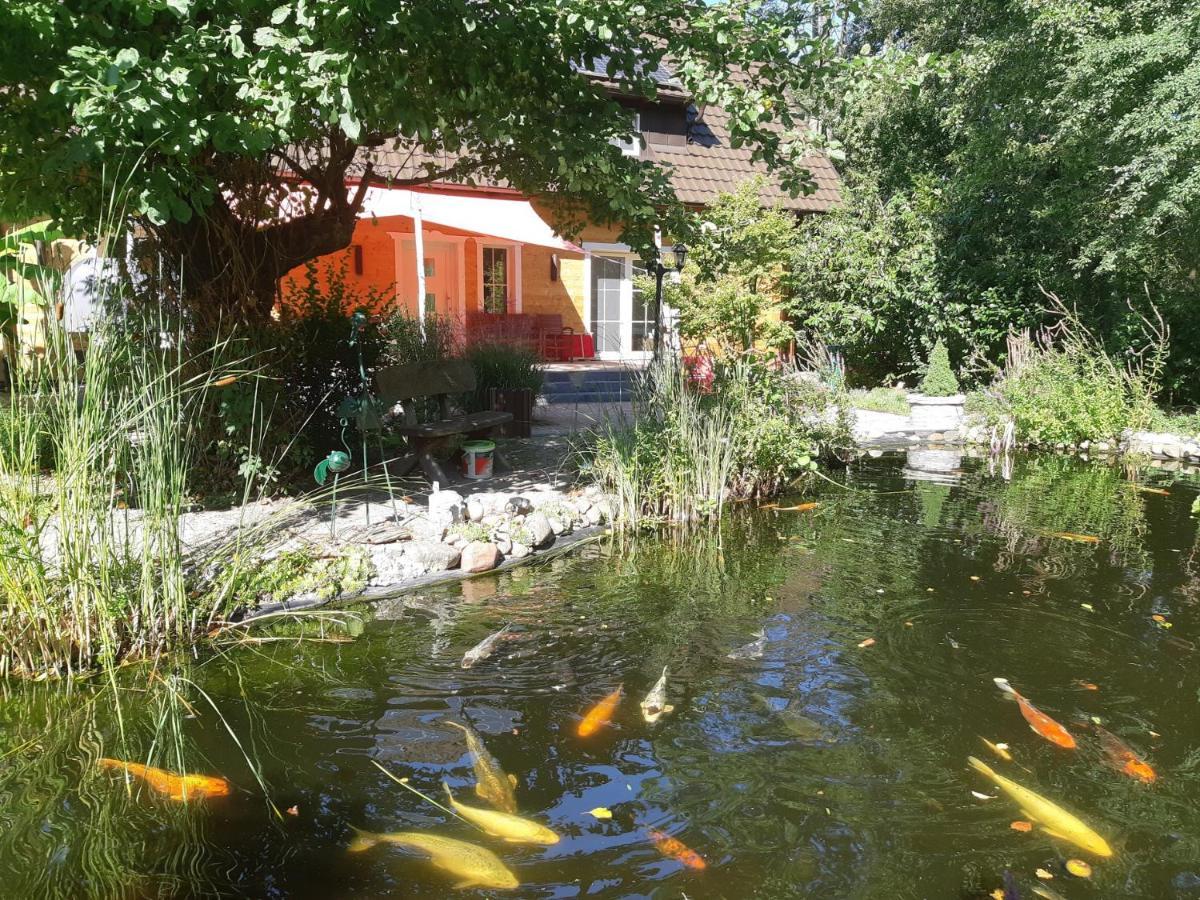 Salus Spreewald - Erholung & Natur - Kolonie  Εξωτερικό φωτογραφία